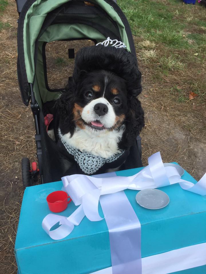 14671245_10211510442382887_7535311363813601412_n-1