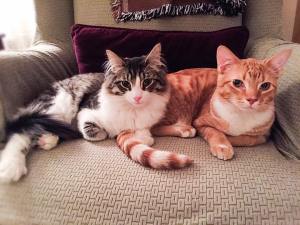 15230724_10211828422092181_4491092488386442995_n