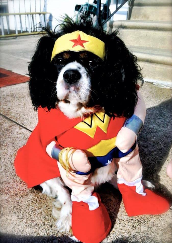 1922276_10205295270527475_8843149344274522086_n