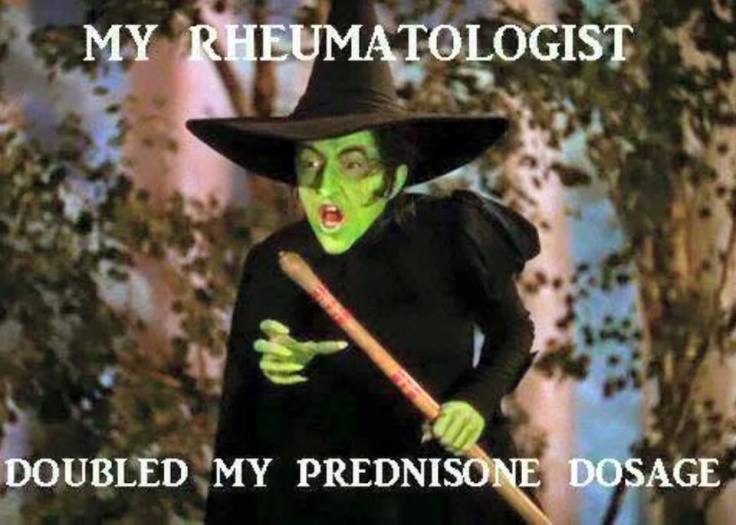 12191072_537378523077255_8458934160176260759_n