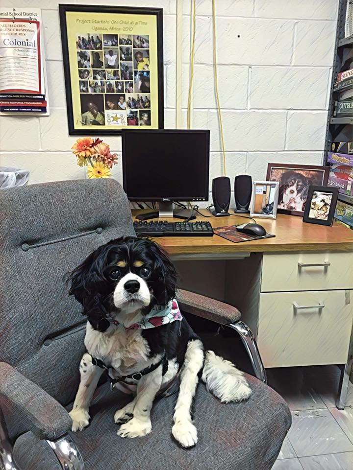 39762391_10217730134271297_3068346111098880000_n