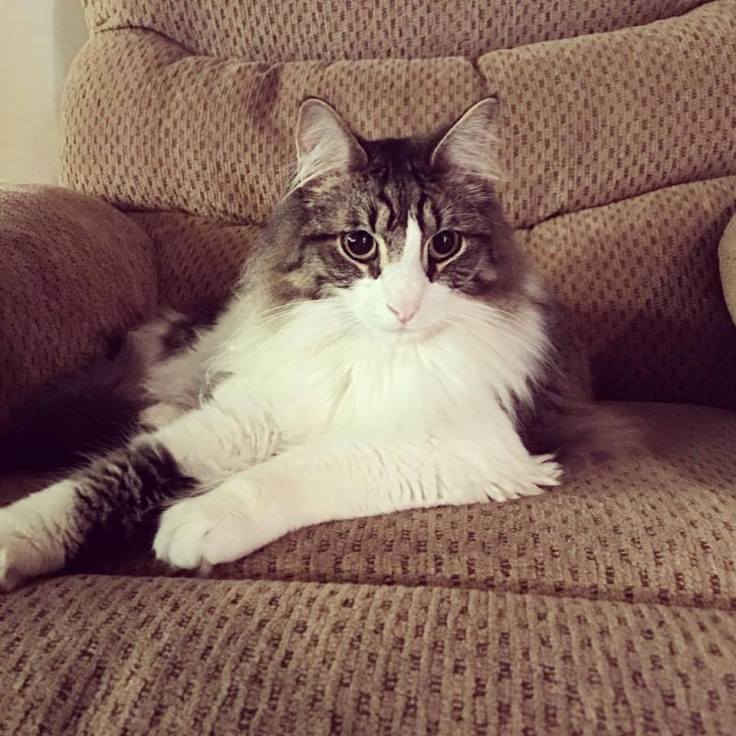 21317788_10214707645630970_144398539968269517_n