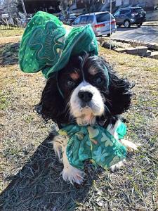 29340522_10216469732642044_7828471576116367705_n